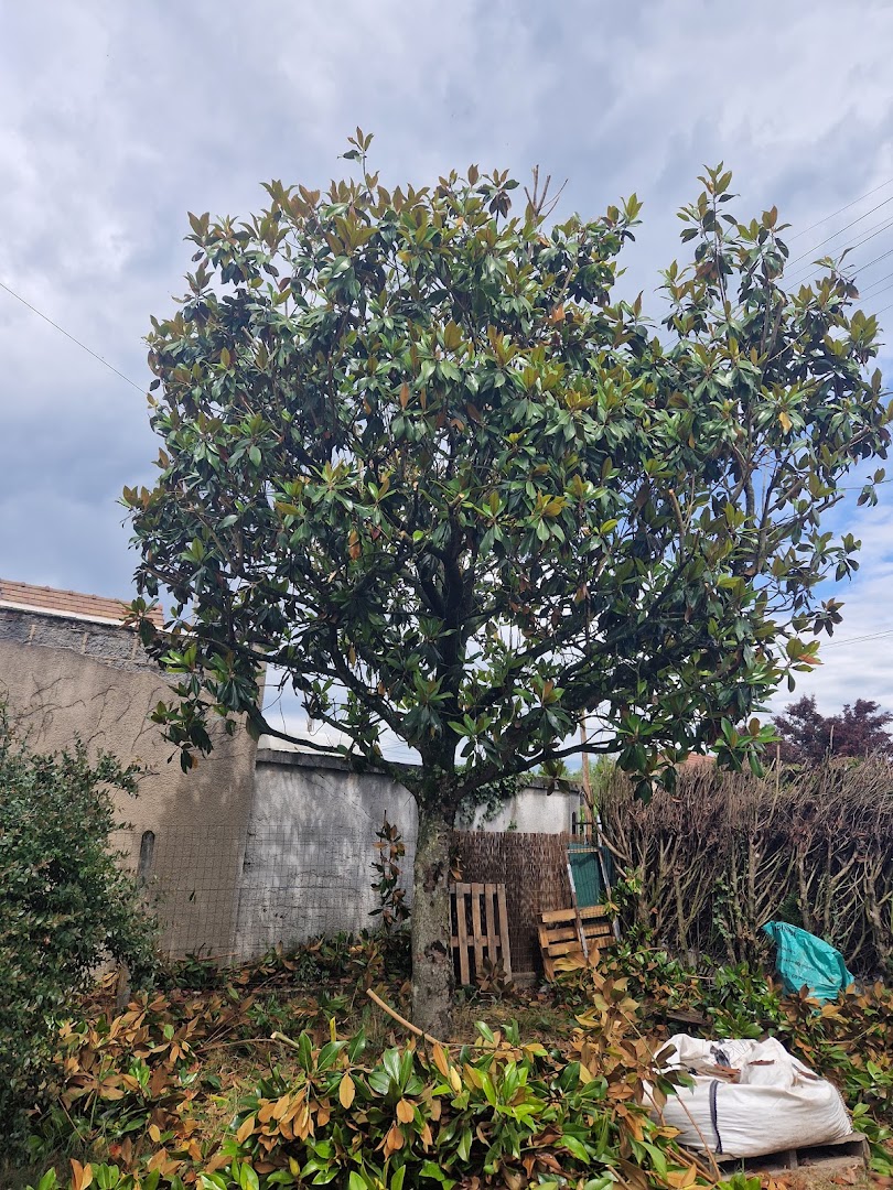 Artisan paysagiste et peintre Dipein multi-services — Photos 5